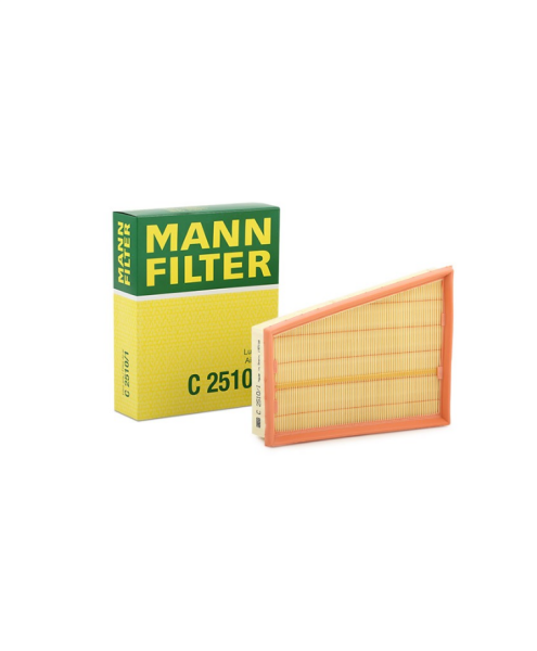 HAVA FİLTRESİ MANN 165462862R - C2510/1
