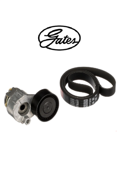 V KAYIŞ SETİ GATES 117203694R - K016PK1198