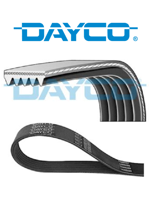 V KAYIŞI -  DAYCO -  8200833541 - 5PK1750