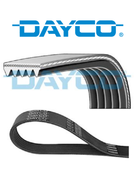 V KAYIŞI -  DAYCO -  8200833541 - 5PK1750