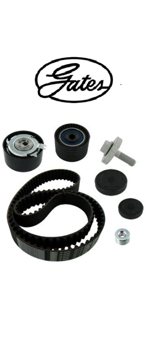 TRİGER SETİ GATES - 130C17529R - K035671XS