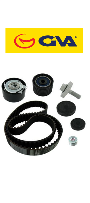 TRİGER SETİ GVA -1 30C17529R - 59T1423H