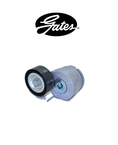 ALTERNATÖR ( KÜTÜKLÜ ) GERGİ RULMANI GATES 55244469 - T39014