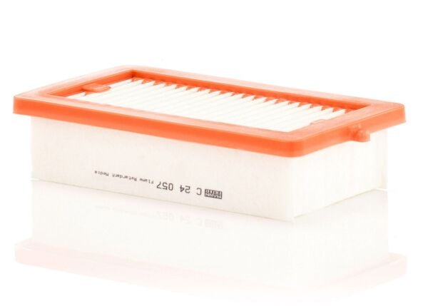 HAVA FİLTRESİ 165465FN1A - MANN C24057