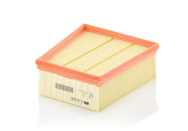 RENAULT MEGANE 4 BENZİNLİ HAVA FİLTRESİ 165467860R - MANN C22026