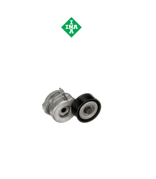 V KAYIŞ GERGİSİ 51821652 - INA 534060710