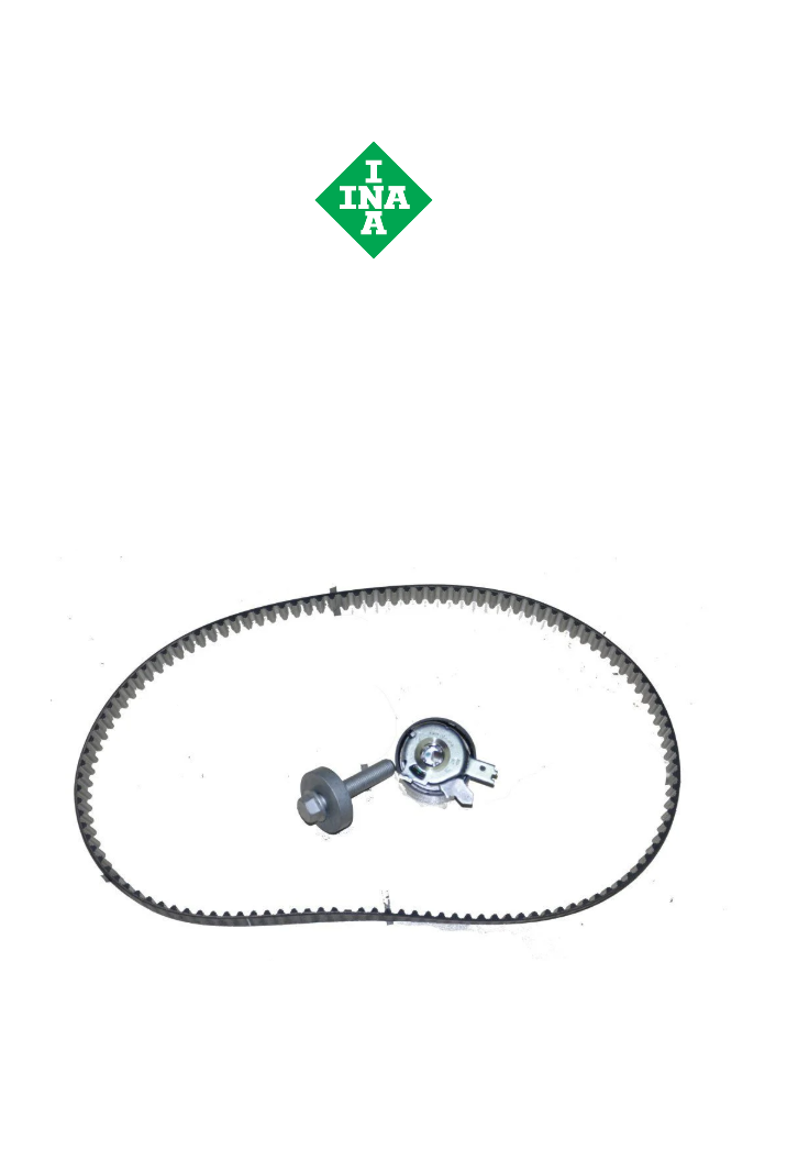 TRİGER SETİ ( EURO 6) INA - 130C17561R  - 530084310