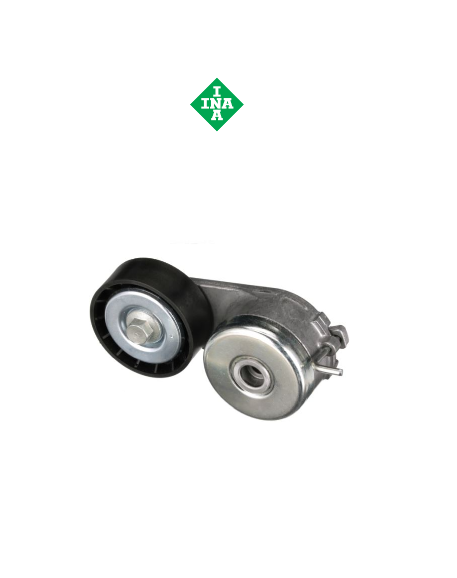 FIAT EGEA 1.4 V KAYIŞ GERGİ KÜTÜĞÜ 55258443 -  INA 534006910