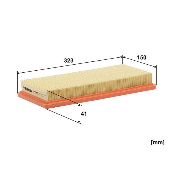 HAVA FİLTRESİ 6000633311 - FILTRON AP092/3